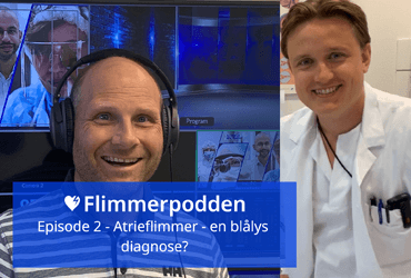 Flimmerpodden episode 2